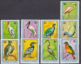 1505-1513 Fauna