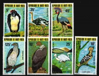 0769-0775 Fauna