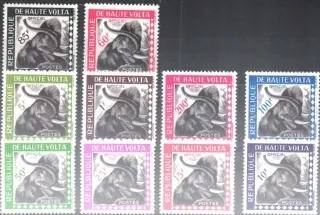 P1-10 Fauna