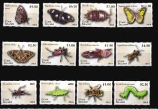 1894-1908 Fauna