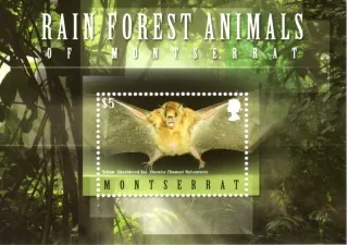 1480 BL 129 Fauna