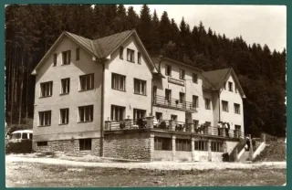 Povina