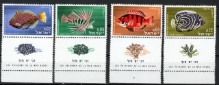 0291-294