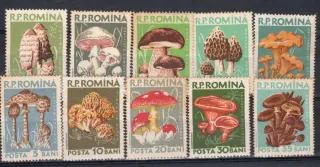 1721-1730 Flora