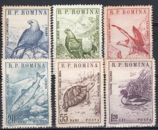 1833-1838 Fauna
