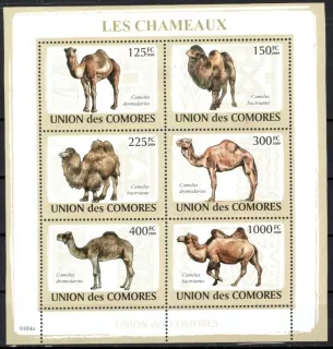 2128-2133+ BL 476 Fauna