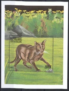 2337 BL 629 Fauna