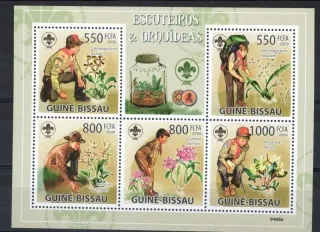 4355-4359 + BL 707 Flora