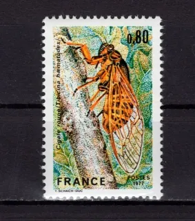 2043 Fauna