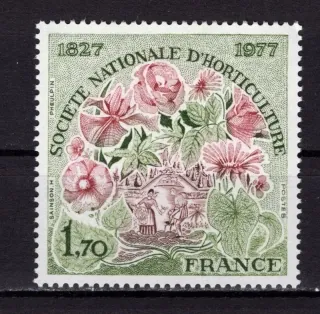2026 Flora