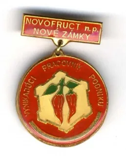 Vynikajúci pracovník podniku