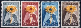 0521-524