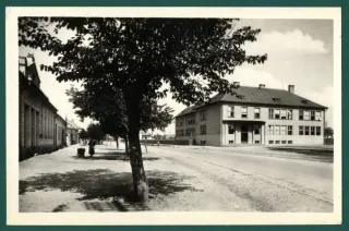 Senec
