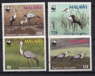 0477-480 fauna
