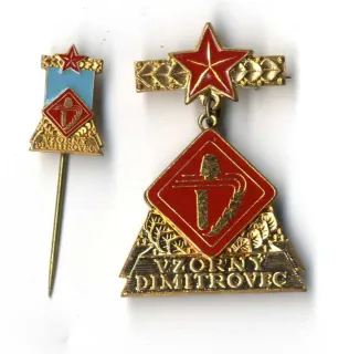 Vzorný Dimitrovec + odznak
