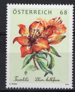 3252**