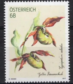3328**