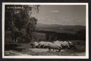 Sliač