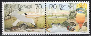 1934-1935