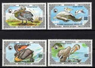 1811-1814 Fauna