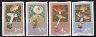 0145-0148