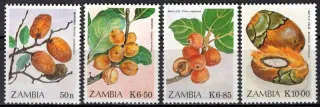 0499-0502 