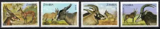 0603-0606 Fauna