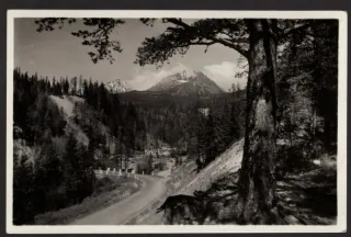 Vysoké Tatry
