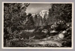 Vysoké Tatry