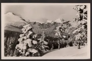 Vysoké Tatry