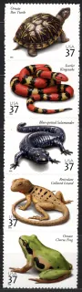3782-3785 Fauna