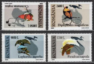 5467-5470 Fauna
