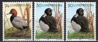 1503-1505 Fauna