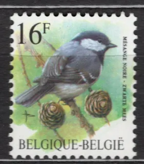 2856 Fauna