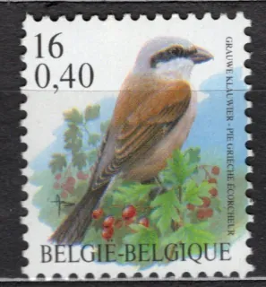 2931 Fauna
