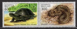 0481-0482 Fauna