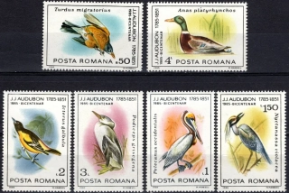4149-4154 Fauna