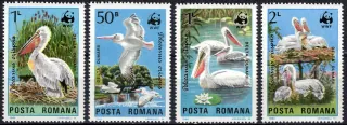 4104-4107 Fauna