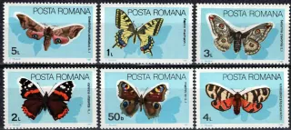 4159-4164 Fauna