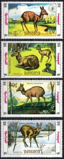 2130-2133 Fauna