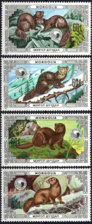 1772-1775 Fauna