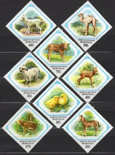 1479-1486 Fauna