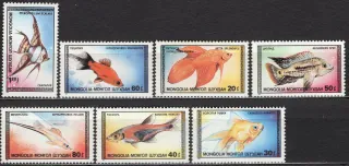 1836-1842 Fauna