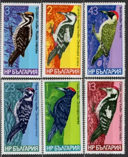2701-2706 Fauna