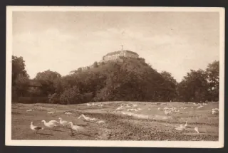 Mukačevo