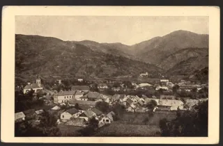 Rachov