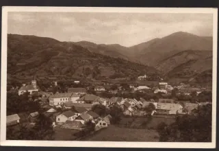 Rachov