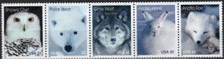 3094-3098 Fauna