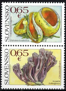 0642-0643