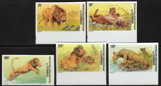 1703-1707 A Fauna